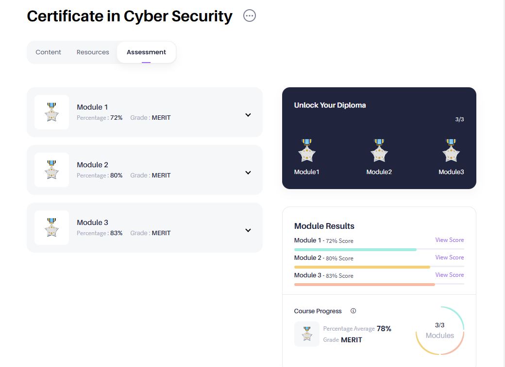 Certificate in Cyber Security